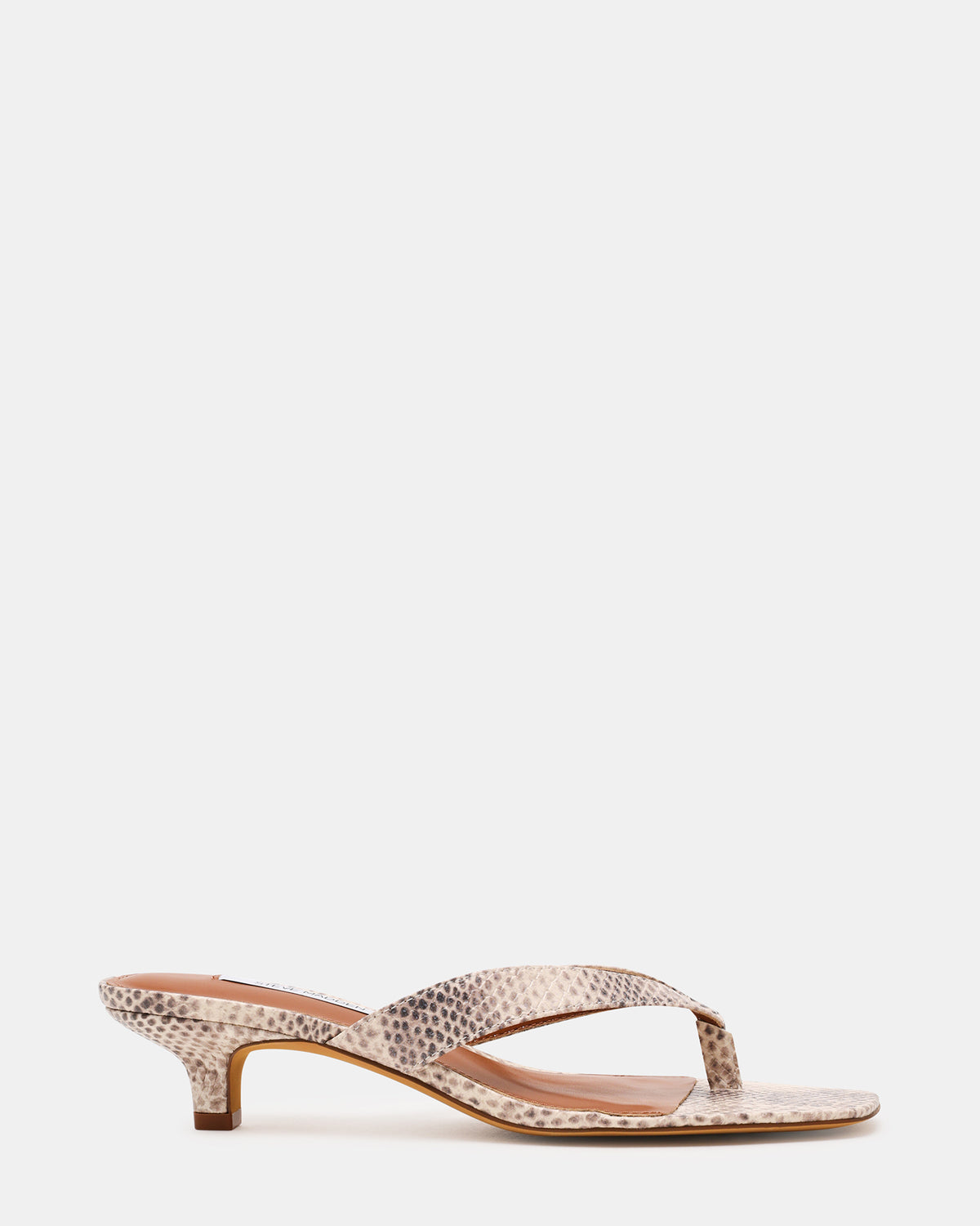 TRACIE Natural Snake Thong Strap Women's Kitten Heel - Steve Madden