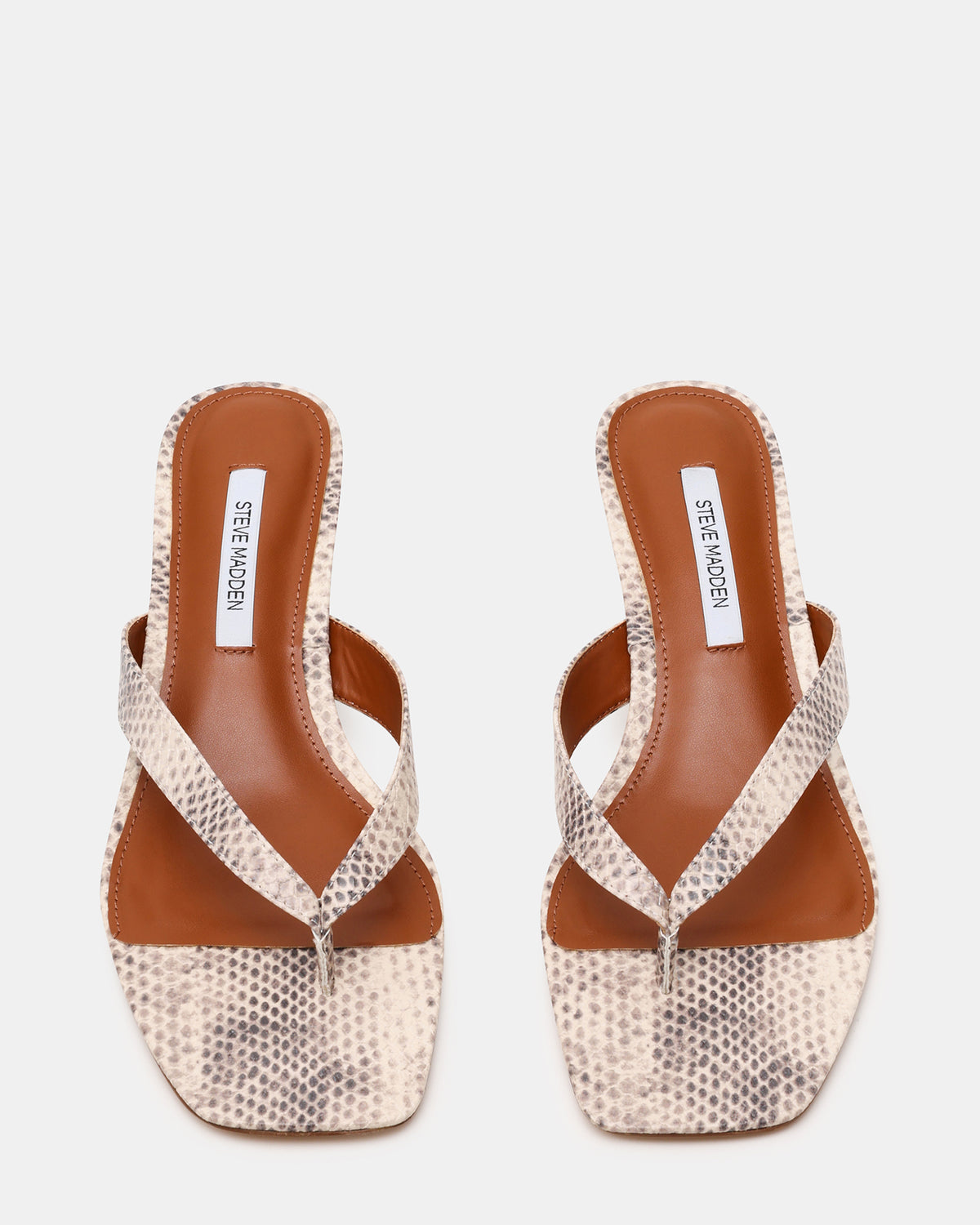 TRACIE Natural Snake Thong Strap Women's Kitten Heel - Steve Madden