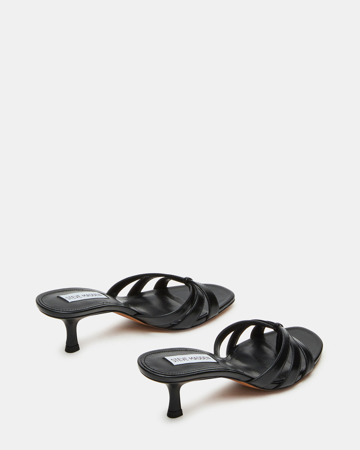 CARY Black Leather Square-Toe Strappy Mule Women's Heel - Steve Madden