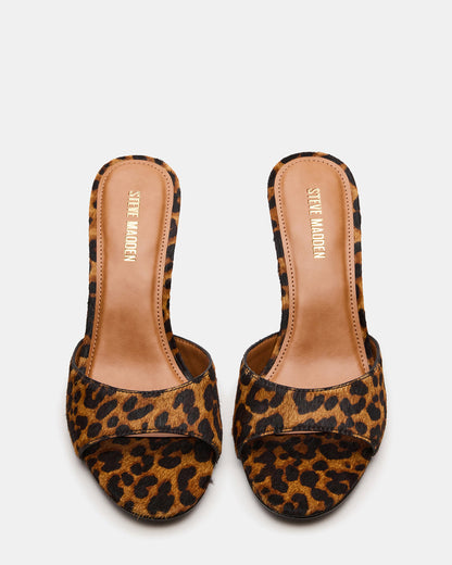 KENDRIX Leopard Women's Mule Heel - Steve Madden