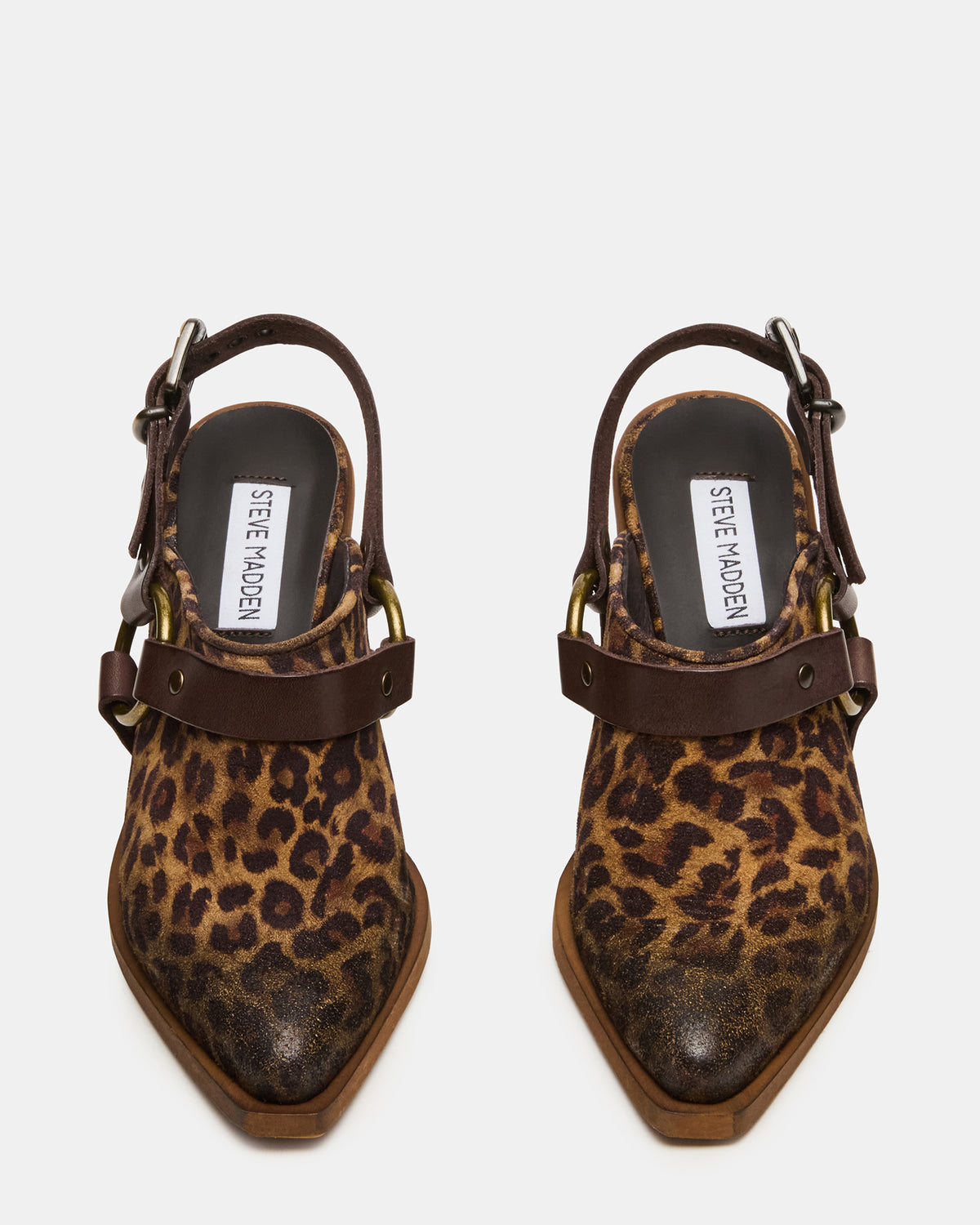 TALIKA Leopard Suede Pointed-Toe Buckle Slingback Women's Heel - Steve Madden