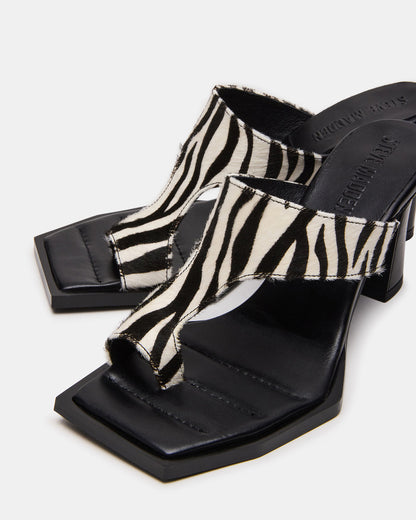 ALAMEDA Zebra Square-Toe Mule Women's Heel - Steve Madden