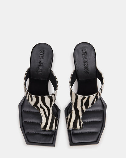 ALAMEDA Zebra Square-Toe Mule Women's Heel - Steve Madden