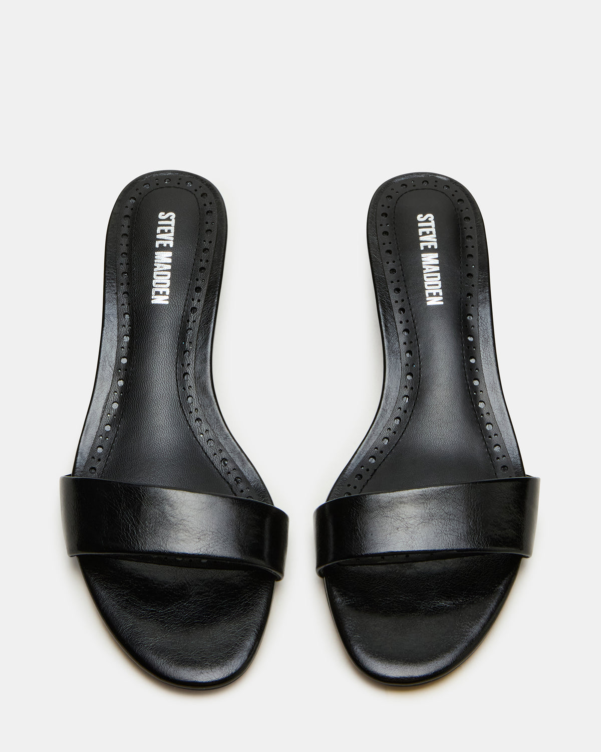 BERRY Black Women's Mule Kitten Heel - Steve Madden