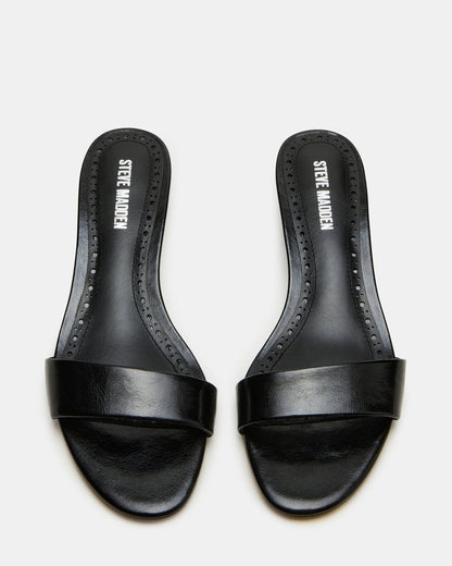 BERRY Black Women's Mule Kitten Heel - Steve Madden