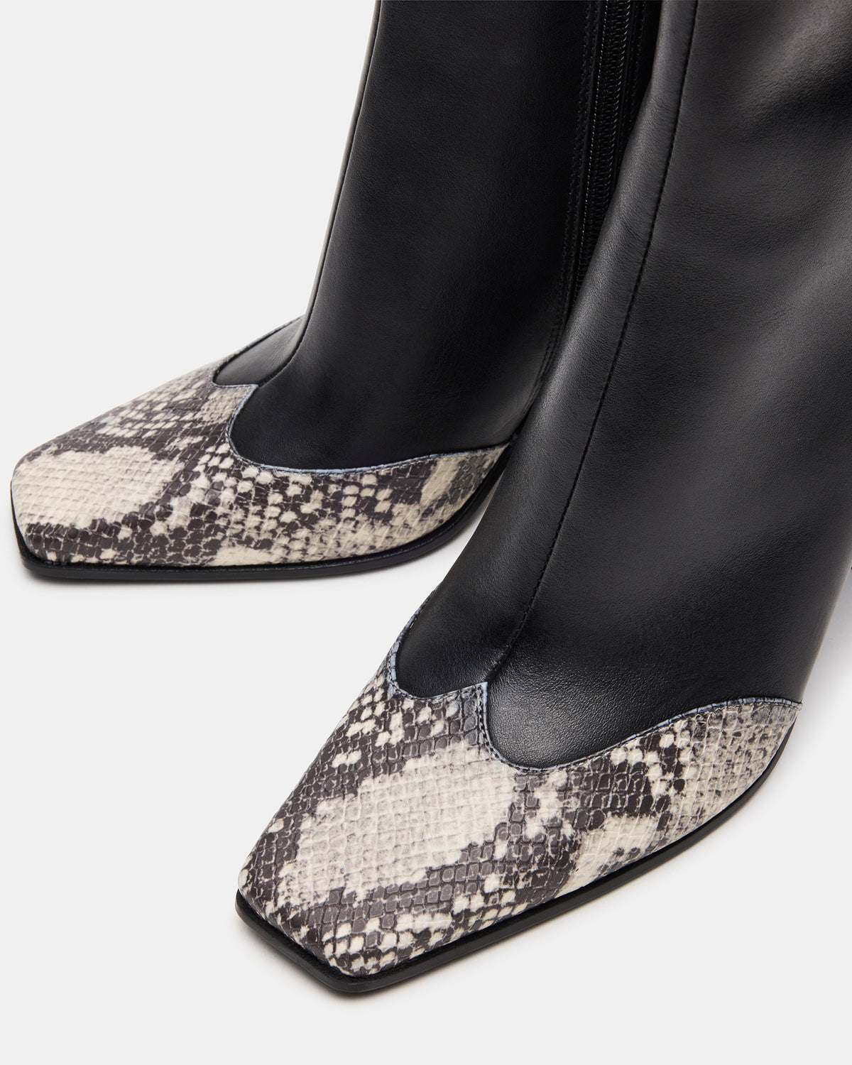LYLE Black Leather with Snake Square-Toe Heeled Women's Ankle Boot - Steve Madden
