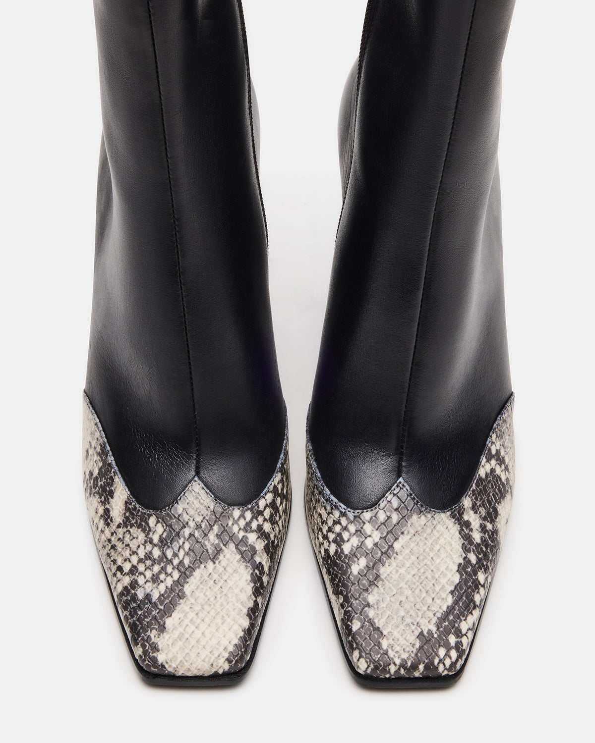 LYLE Black Leather with Snake Square-Toe Heeled Women's Ankle Boot - Steve Madden