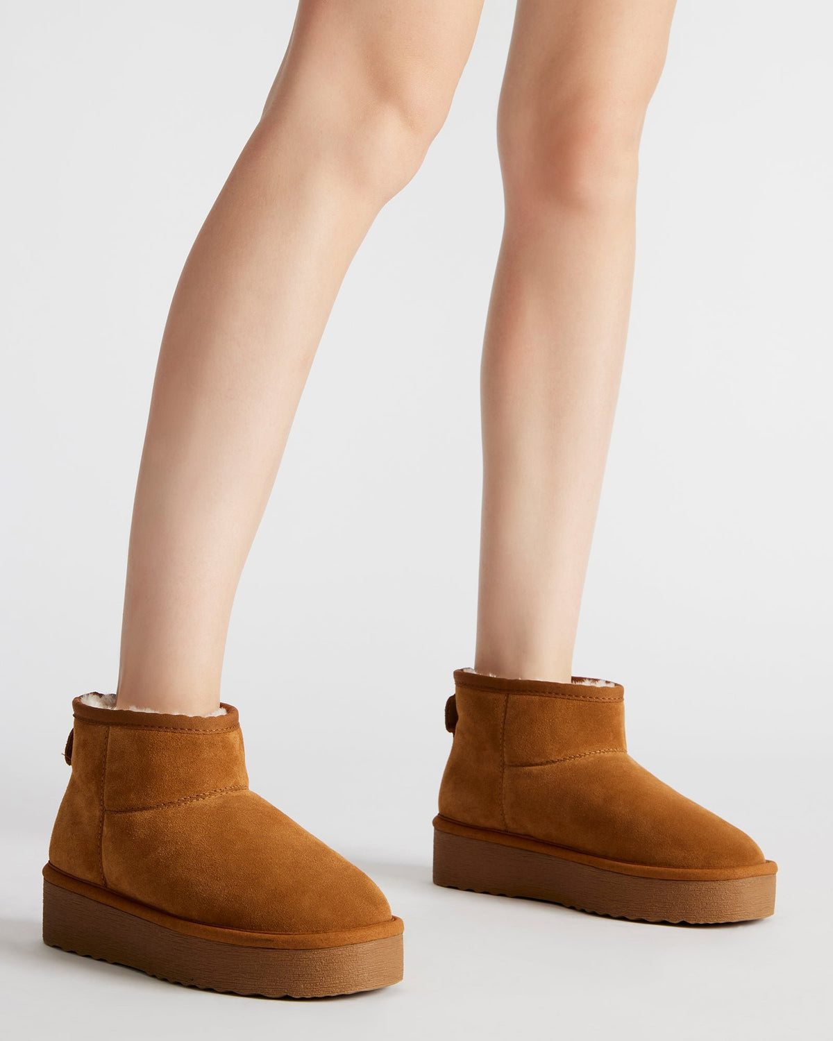 COMFY Chestnut Suede Women's Ankle Boot - Steve Madden