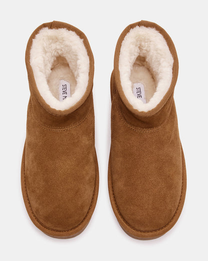 COMFY Chestnut Suede Women's Ankle Boot - Steve Madden