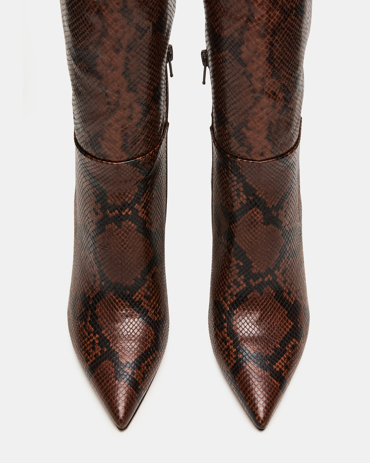 NITRO Brown Snake Wife Calf Pointed-Toe Stiletto Heel Knee-High Women's Boots - Steve Madden