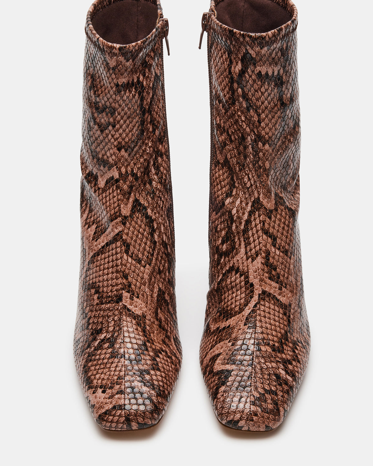 HUSH Snake Square Toe Bootie | Women's Ankle Boots - Steve Madden