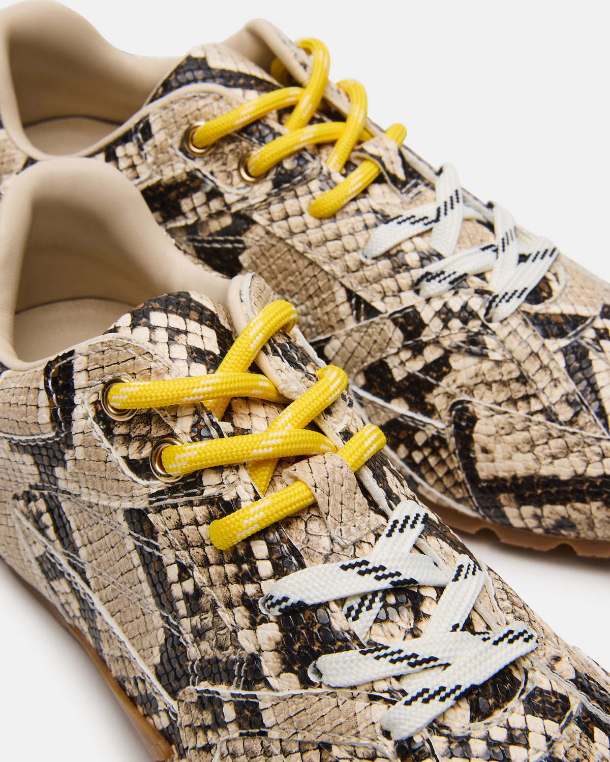 AZIEL Tan Snake Low-Top Lace-Up Women's Sneakers - Steve Madden