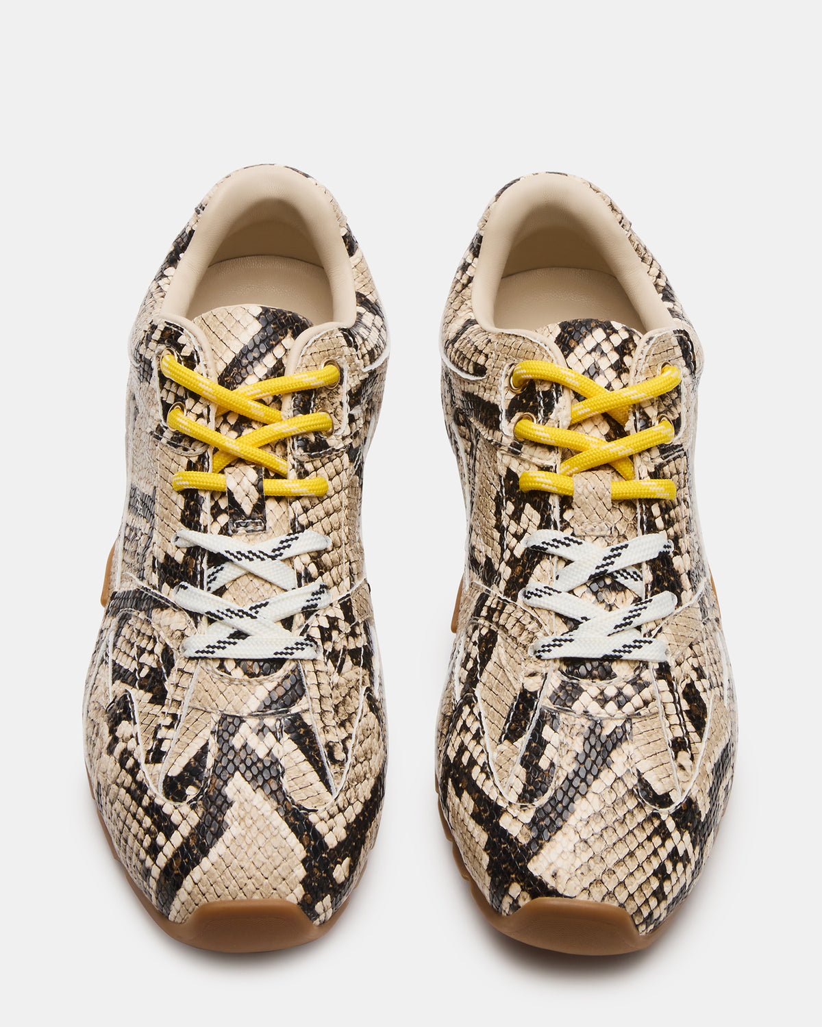 AZIEL Tan Snake Low-Top Lace-Up Women's Sneakers - Steve Madden