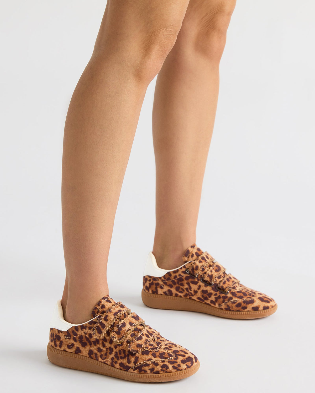 MOMENTUM Leopard Velcro Low-Top Women's Sneakers - Steve Madden