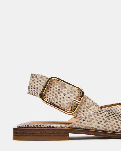 SHAY Snake Pointed-Toe Slingback Ballet Women's Flat - Steve Madden