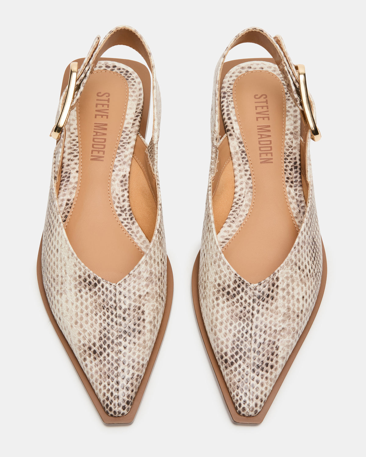 SHAY Snake Pointed-Toe Slingback Ballet Women's Flat - Steve Madden