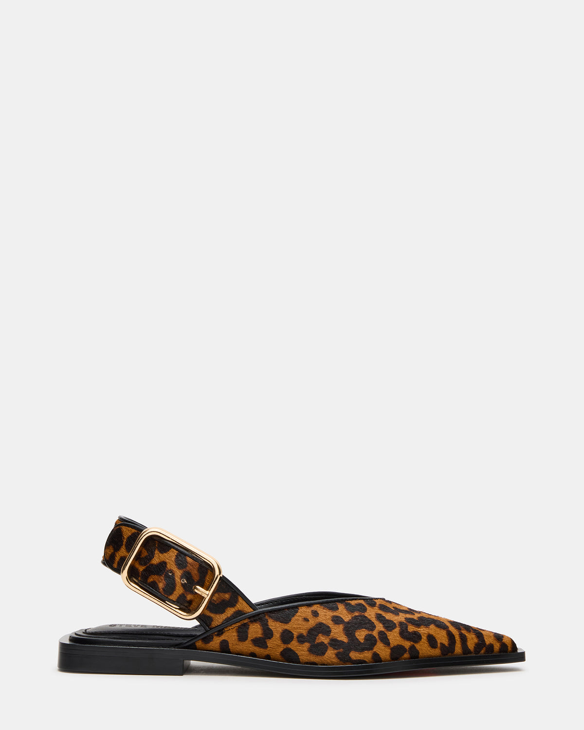SHAY Leopard Pointed-Toe Slingback Ballet Women's Flat - Steve Madden