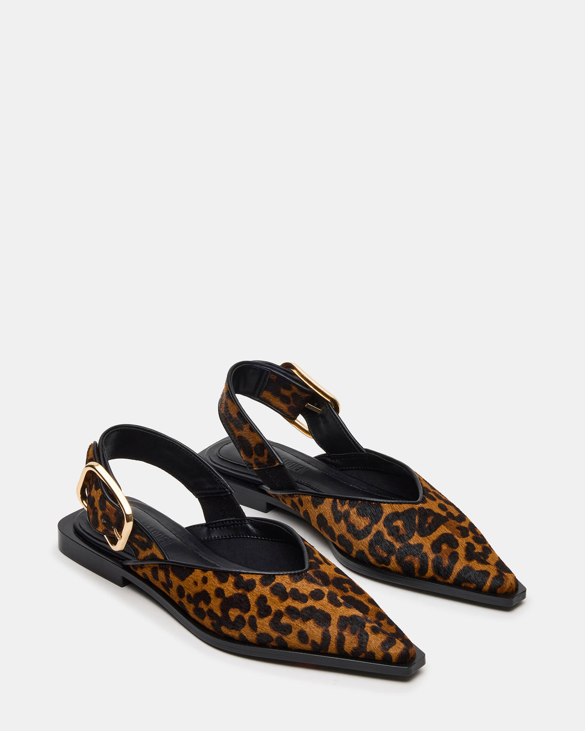 SHAY Leopard Pointed-Toe Slingback Ballet Women's Flat - Steve Madden