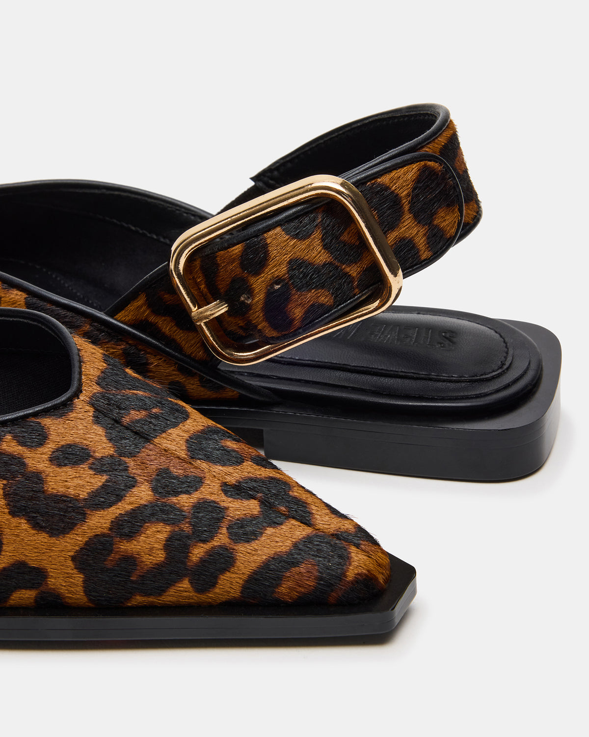 SHAY Leopard Pointed-Toe Slingback Ballet Women's Flat - Steve Madden