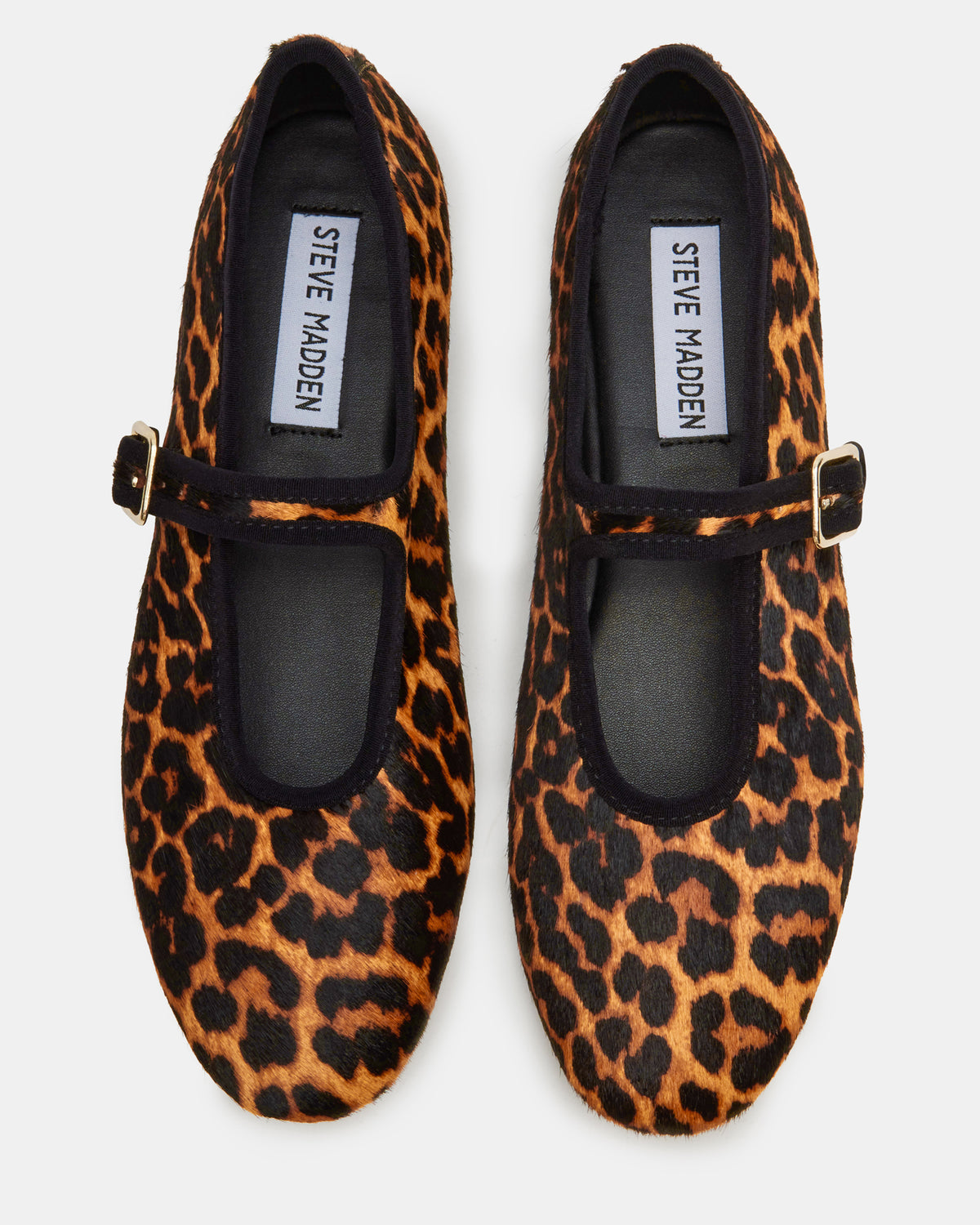 DREAMING Leopard Women's Mary Jane Flats - Steve Madden