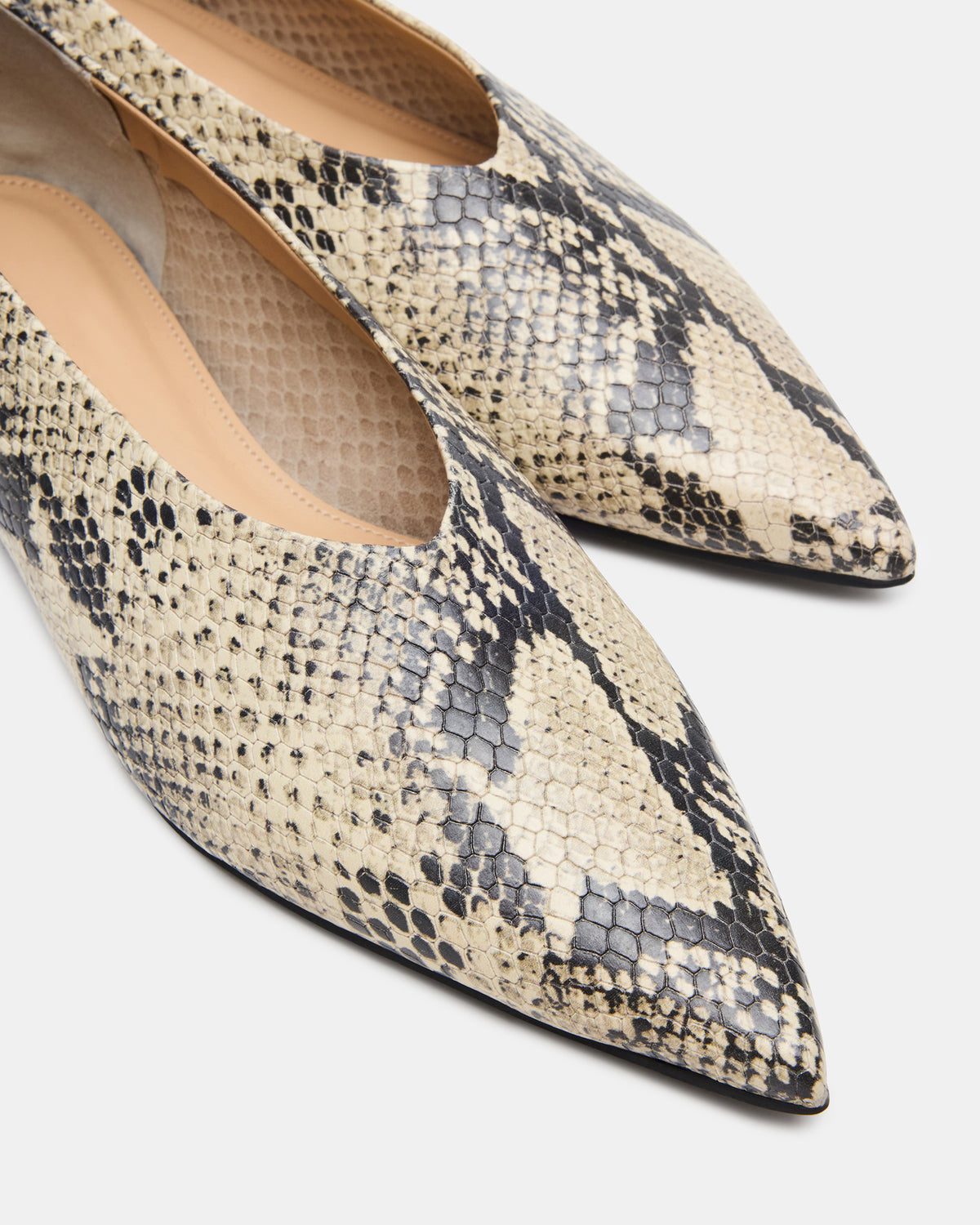 FLOYD Snake Pointed-Toe Ballet Women's Flat - Steve Madden