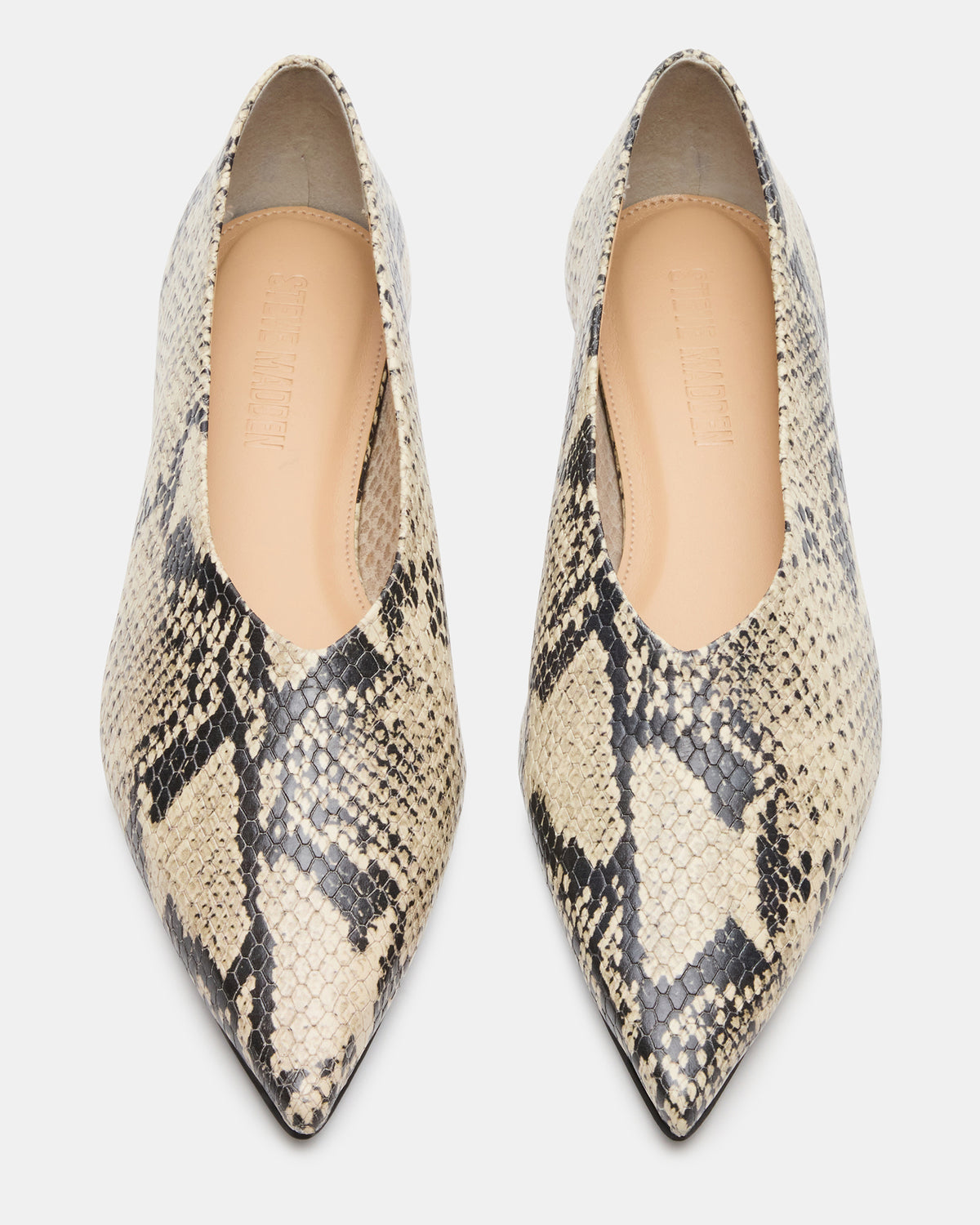 FLOYD Snake Pointed-Toe Ballet Women's Flat - Steve Madden