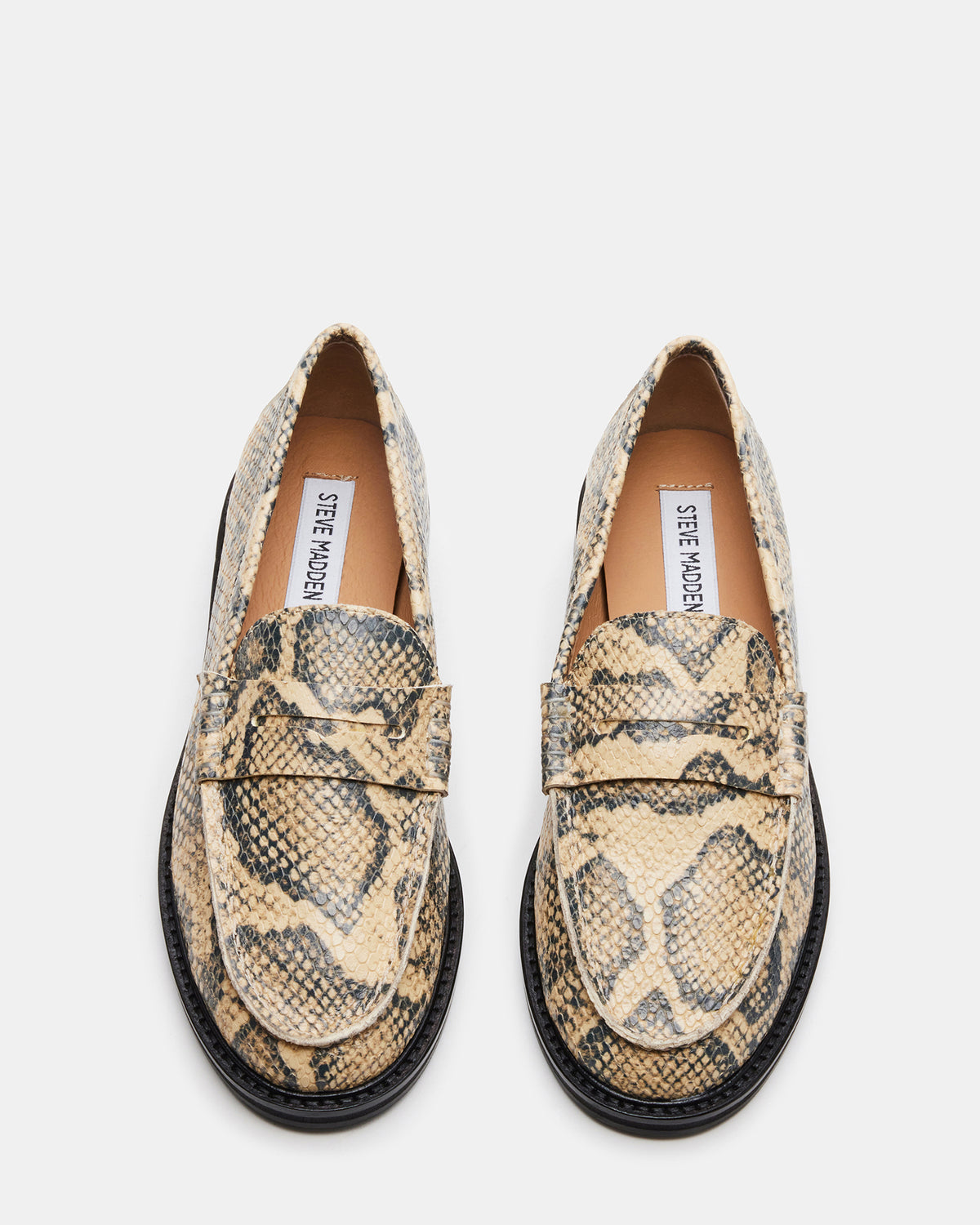 MADISON Snake Women's Penny Loafer - Steve Madden