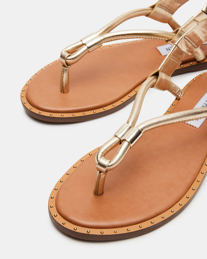 MEDUZA Gold Leather Women's Studded Thong Sandal - Steve Madden