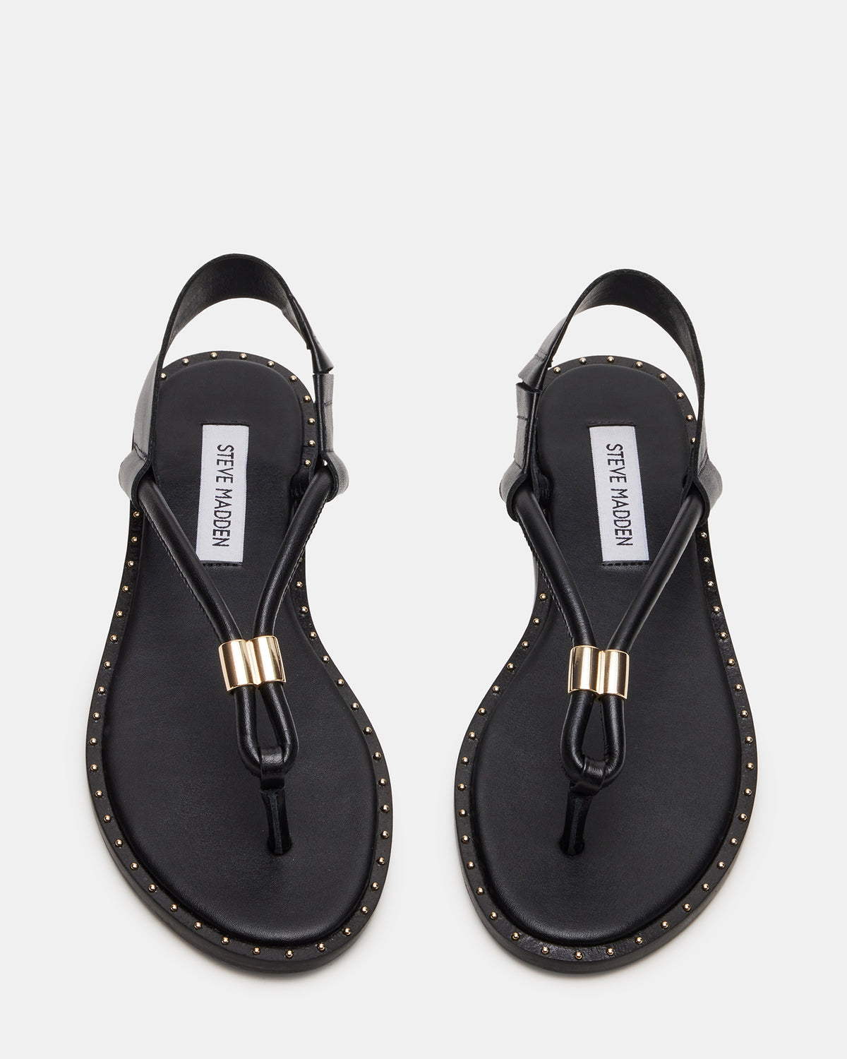 MEDUZA Black Leather Women's Studded Thong Sandal - Steve Madden
