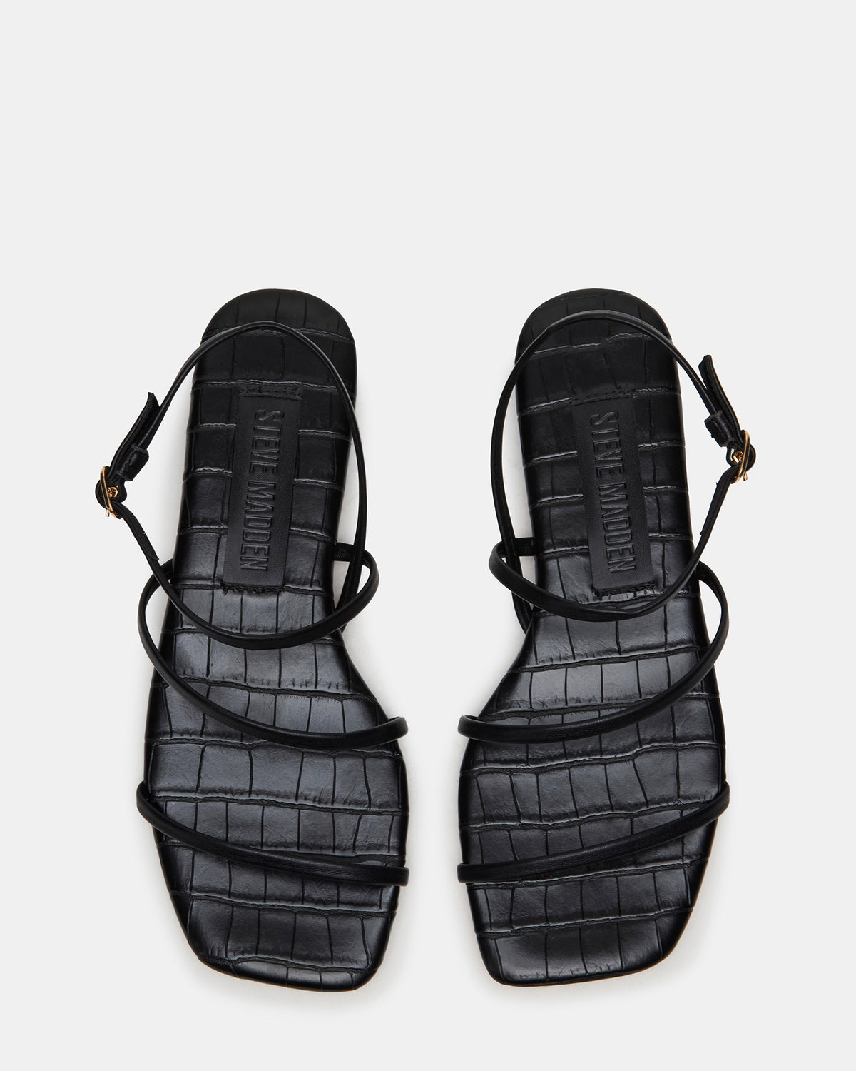 TANGO Black Square-Toe Strappy Women's Sandal - Steve Madden