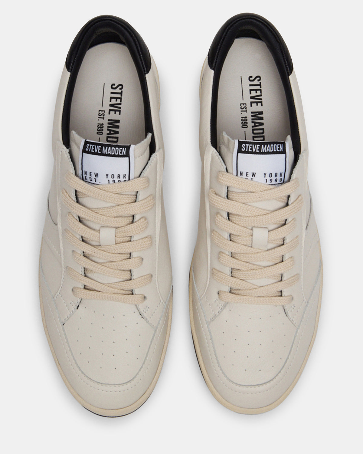 PRISMO Black Multi Low-Top Lace-Up Men's Sneaker - Steve Madden