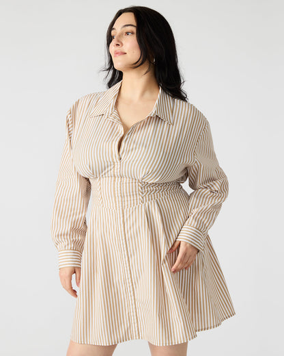 ARIA Taupe Women's Button-Up Mini Dress - Steve Madden