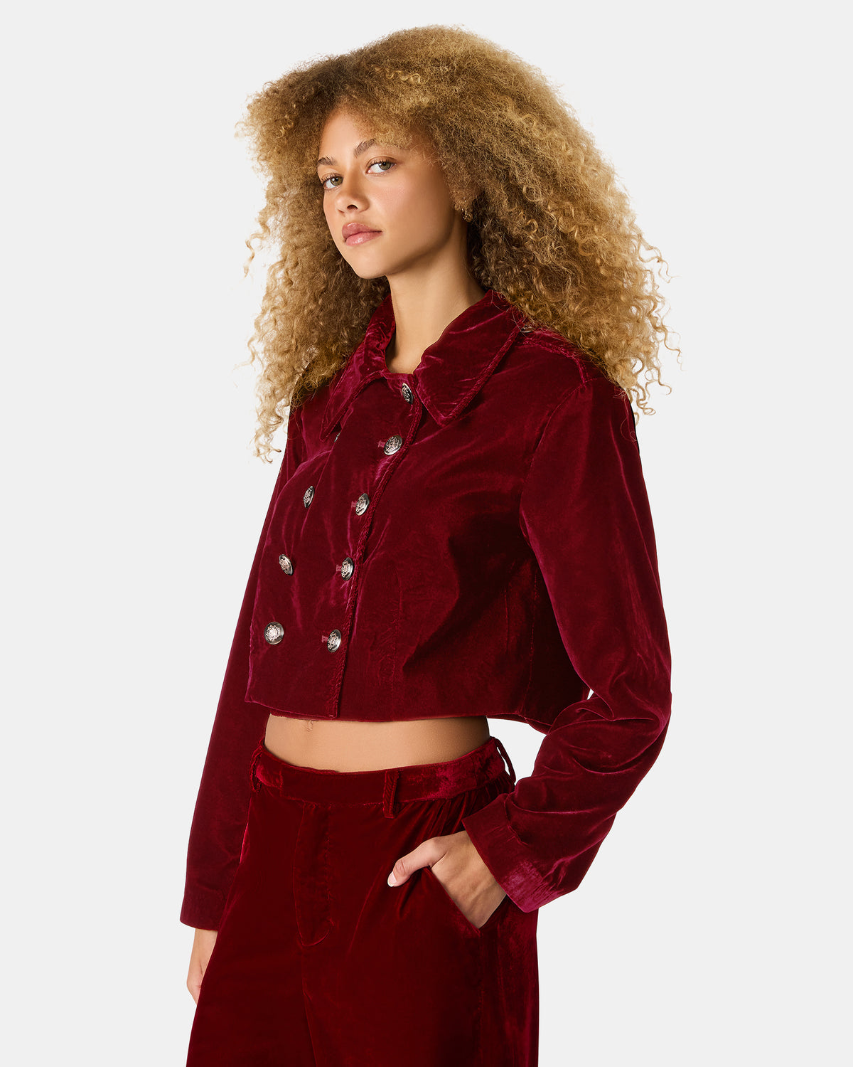 TONIA Red Velvet Button-Up Long-Sleeved Women's Blazer Jacket - Steve Madden
