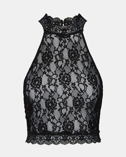 JUDY Black Lace Mesh Cropped Halter Women's Top - Steve Madden