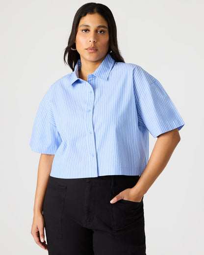 TULA Blue/White Women's Collared Button-Up Pinstripe Top - Steve Madden
