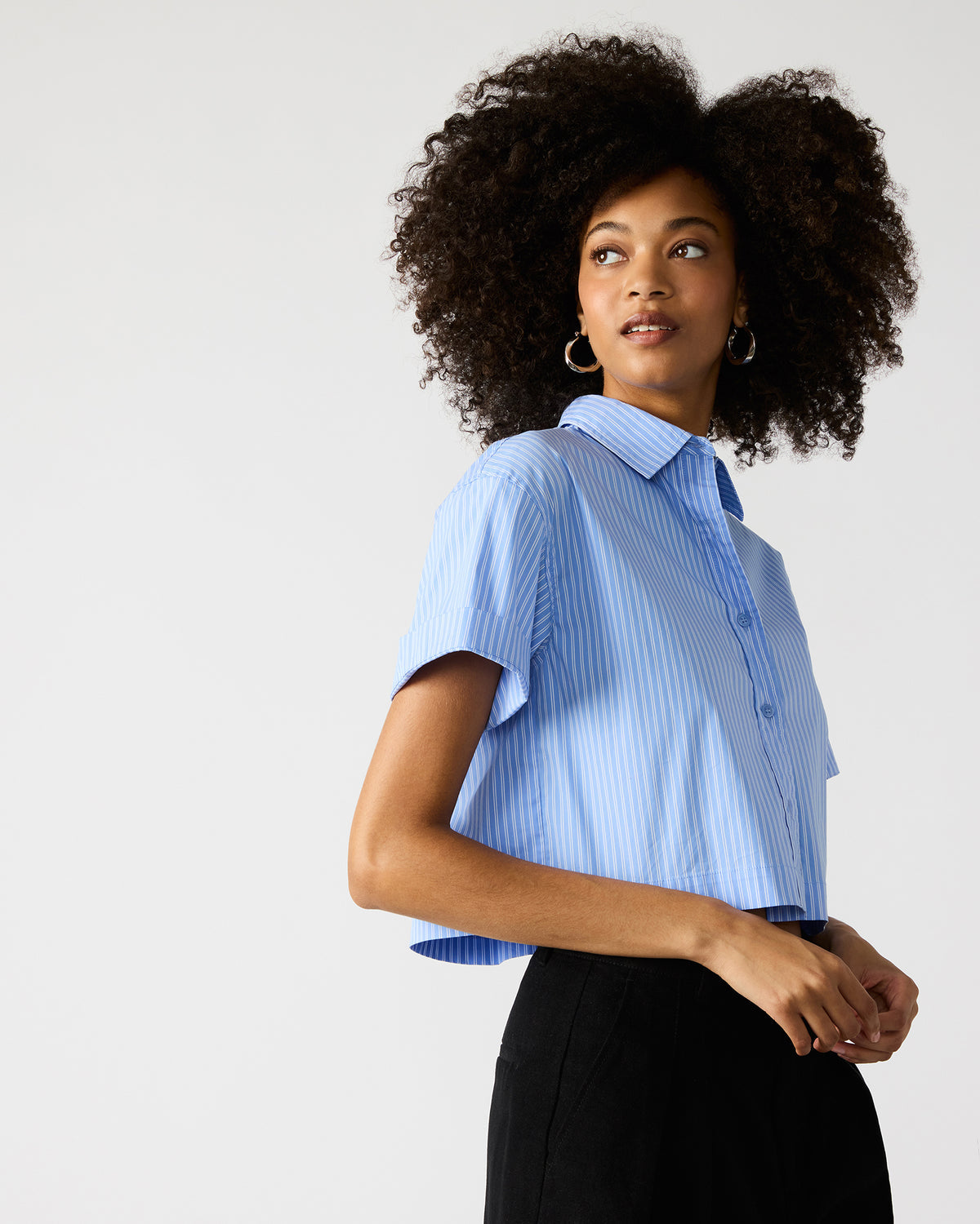 TULA Blue/White Women's Collared Button-Up Pinstripe Top - Steve Madden